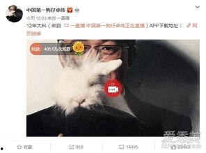 武汉出轨爆料事件最新,真相与争议再掀波澜